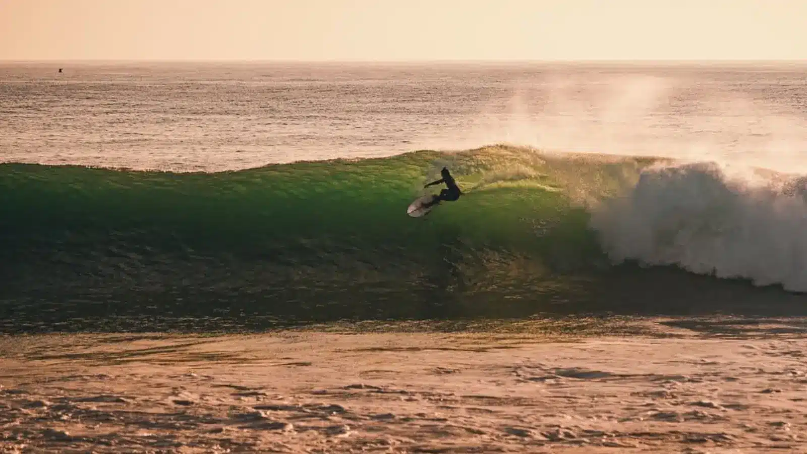 Guesthouse in Tamraght